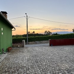 86064