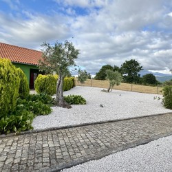86164